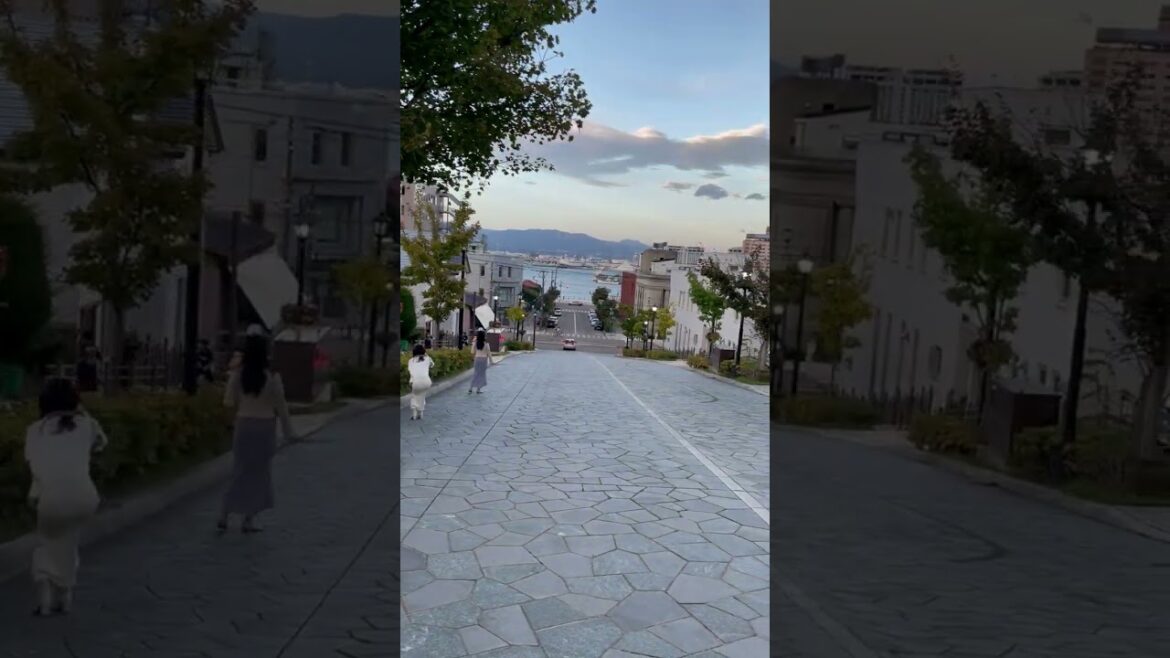 日本北海道 函館**八幡坂  2023/10