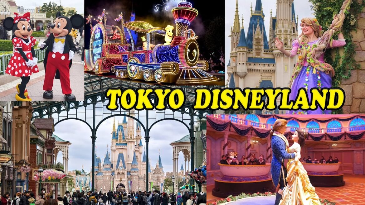 A visit to TOKYO DISNEYLAND ||  Guide for first timers