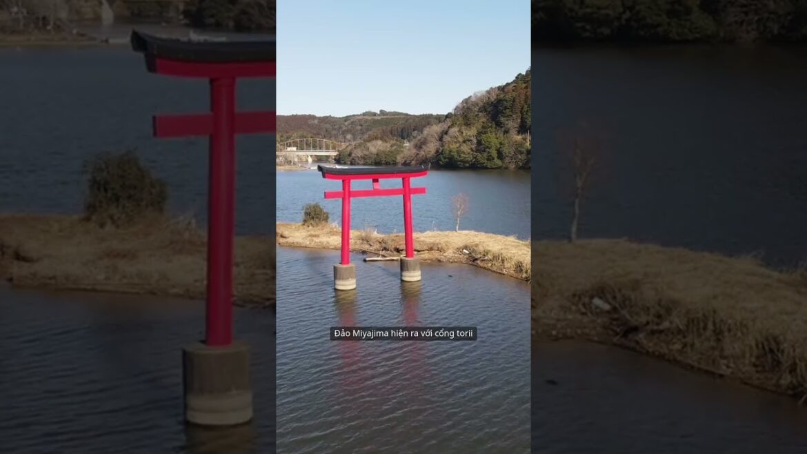 Tour du lịch nhật bản hiroshima #reels