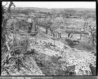 The destroyed walls of Shuri Castle and the ruins of the city of Shuri are seen in this photograph taken by U.S. forces in May 1945. (Photo from the Okinawa Prefectural Archives)