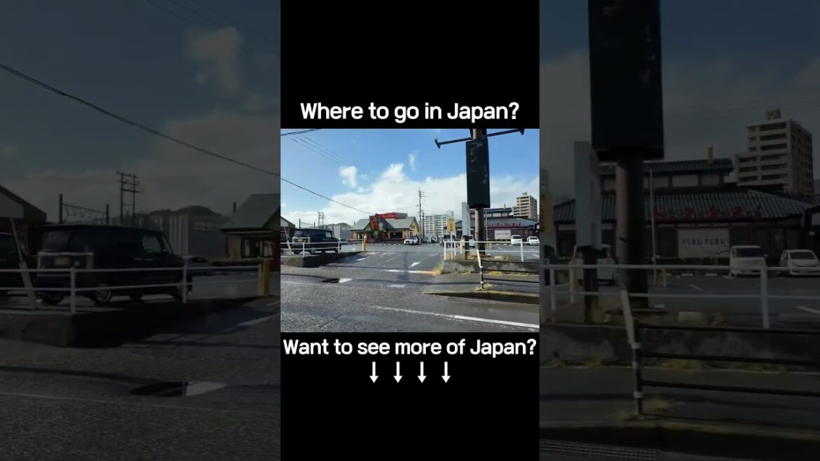 On the Way to Kagoshima Aquarium by Bus｜バスで行く鹿児島水族館｜搭公車前往鹿兒島水族館#KagoshimaAquarium #AquariumTrip