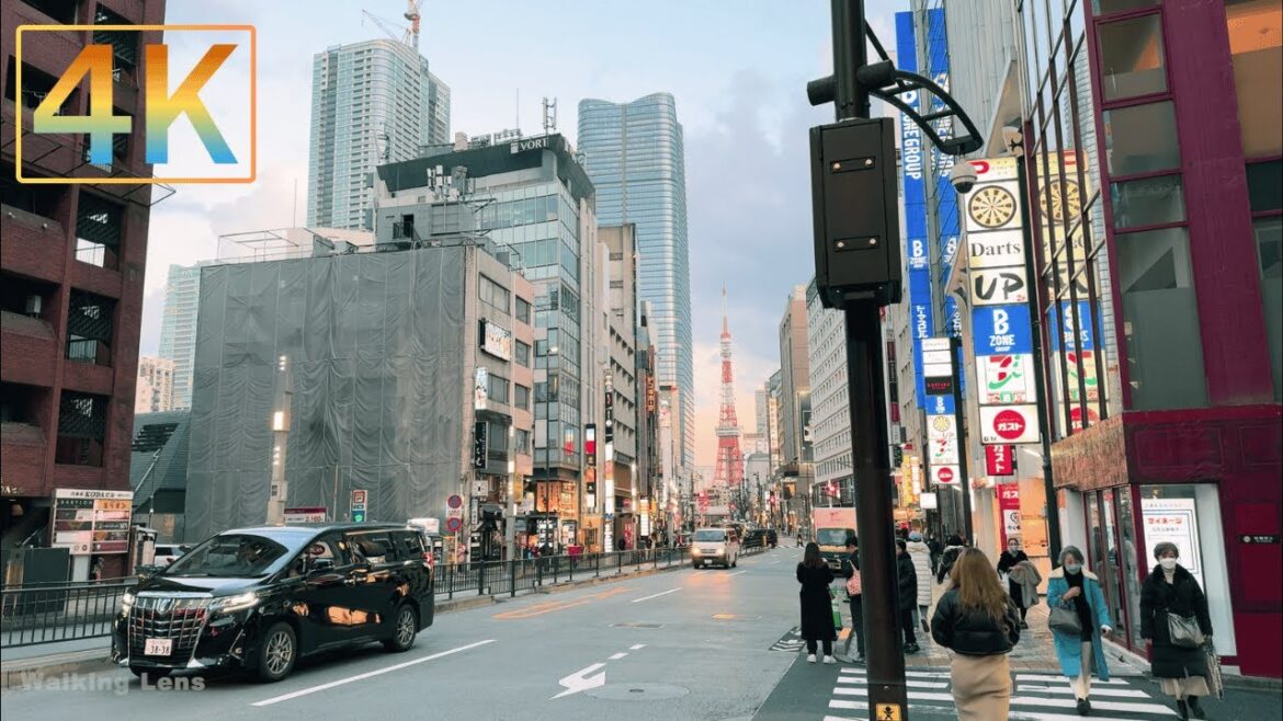 Tokyo’s Most Stylish Streets? Walking Tour in Shinjuku, Ginza & Shibuya | Japan Street Views 4K Tokyo’s Most Stylish Streets? Walking Tour in Shinjuku, Ginza & Shibuya | Japan Street Views 4K