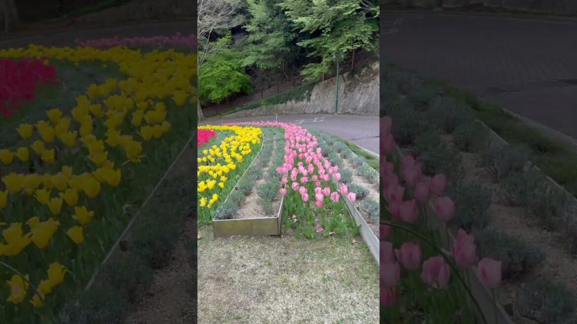 Kobe Nunobiki Herb Gardens & Ropeway, Japan