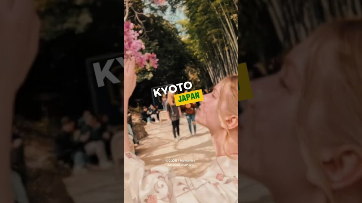 kimono shoot in kyoto #japantravel #japanculture #travel #gopro #love #family #shorts
