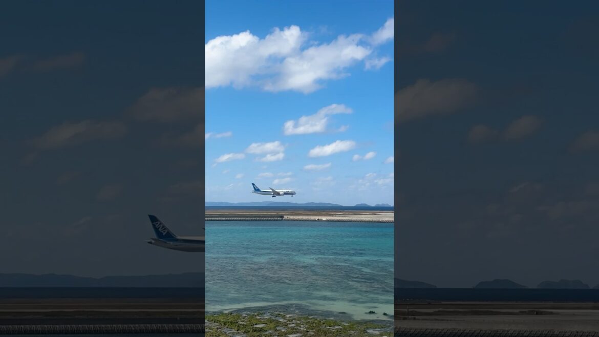 오키나와 우미카지테라스✈️ #okinawa #UmikajiTerrace