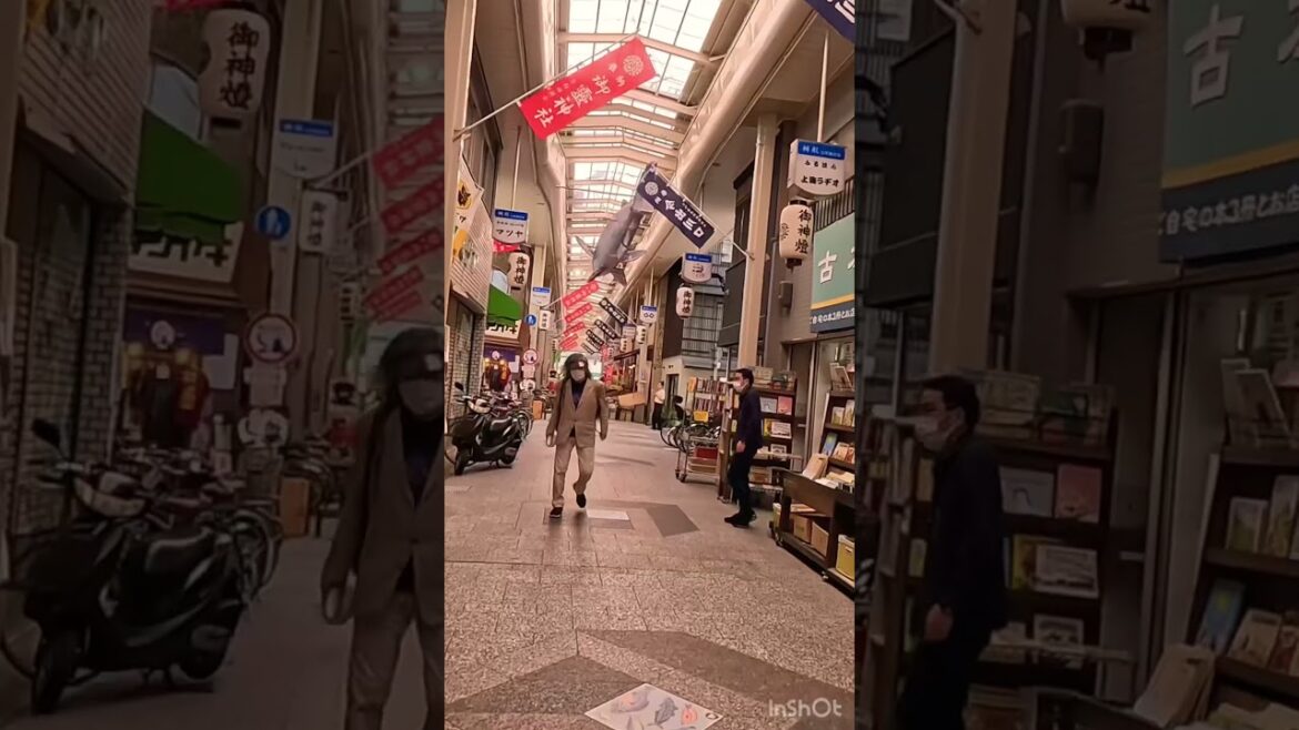 Explore a nice shopping street. #japan #kyoto #travel #trip #tour #food #restaurant #drink #京都 #商店街