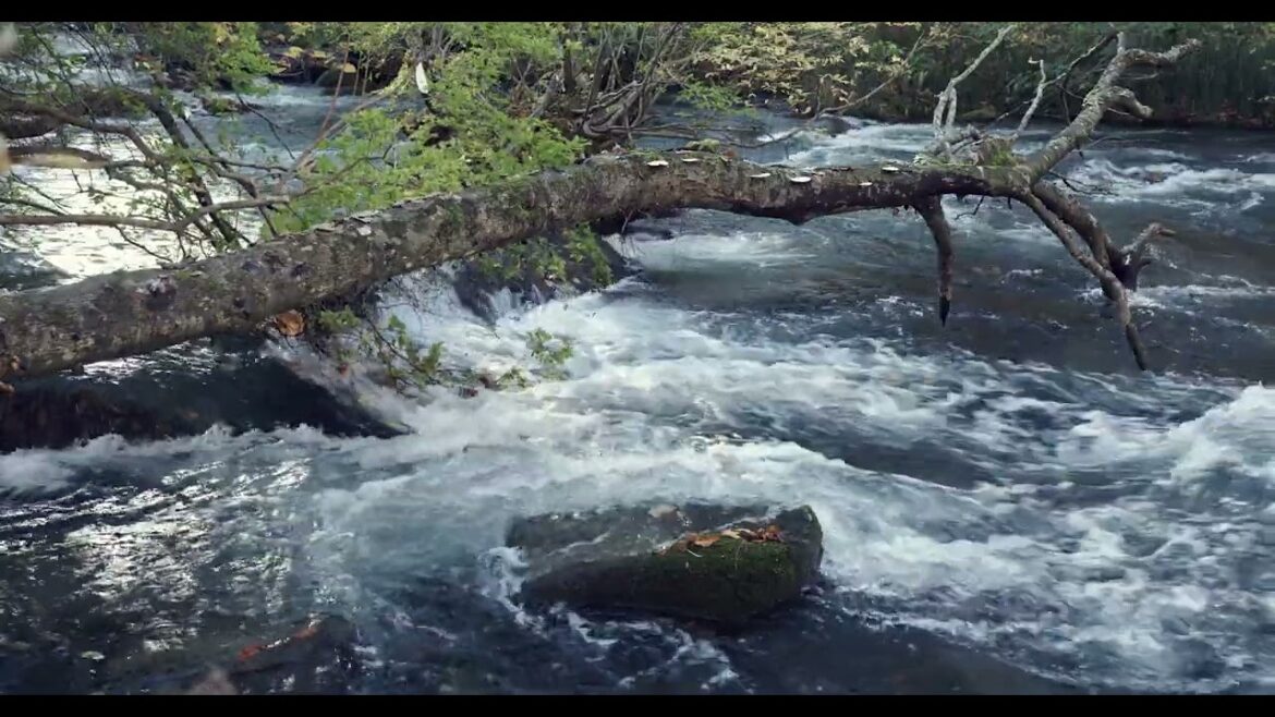 Road trip in Aomori 2024. 8K 60p