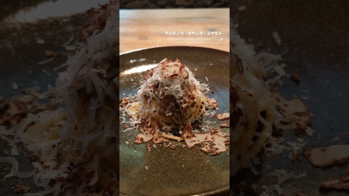 ひとりでコース料理食べてきた！#shorts #熊本