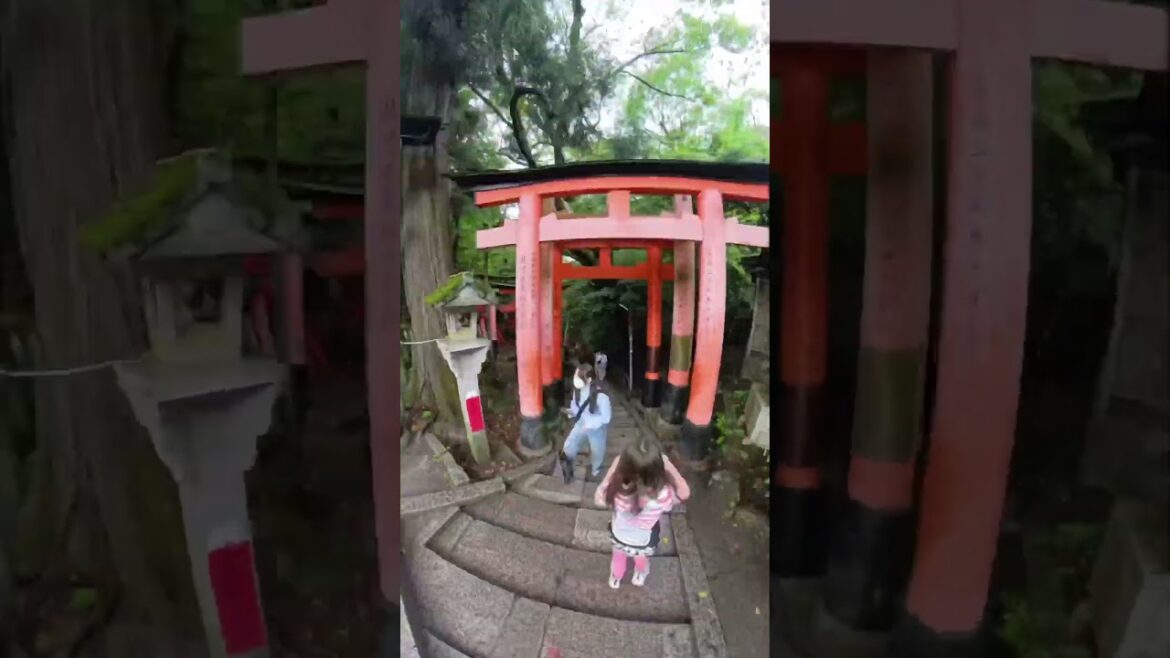 #fushimiinaritaisha #japan #travel #kyoto #japaneseculture #vacation #adventure #epic