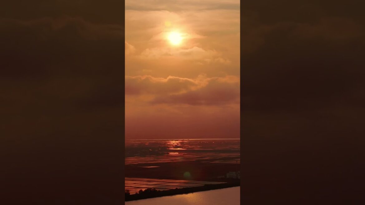 RICE FIELD AT TWILIGHT  #shorts  #ドローン #akita #絶景#秋田 #田んぼ