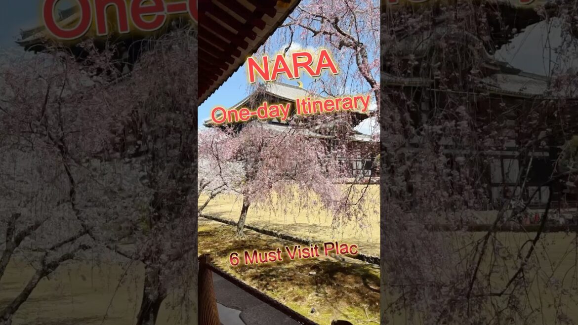 NARA🦌 One-day Itinerary ~Introducing 6 Must Visit Places! #traveljapan