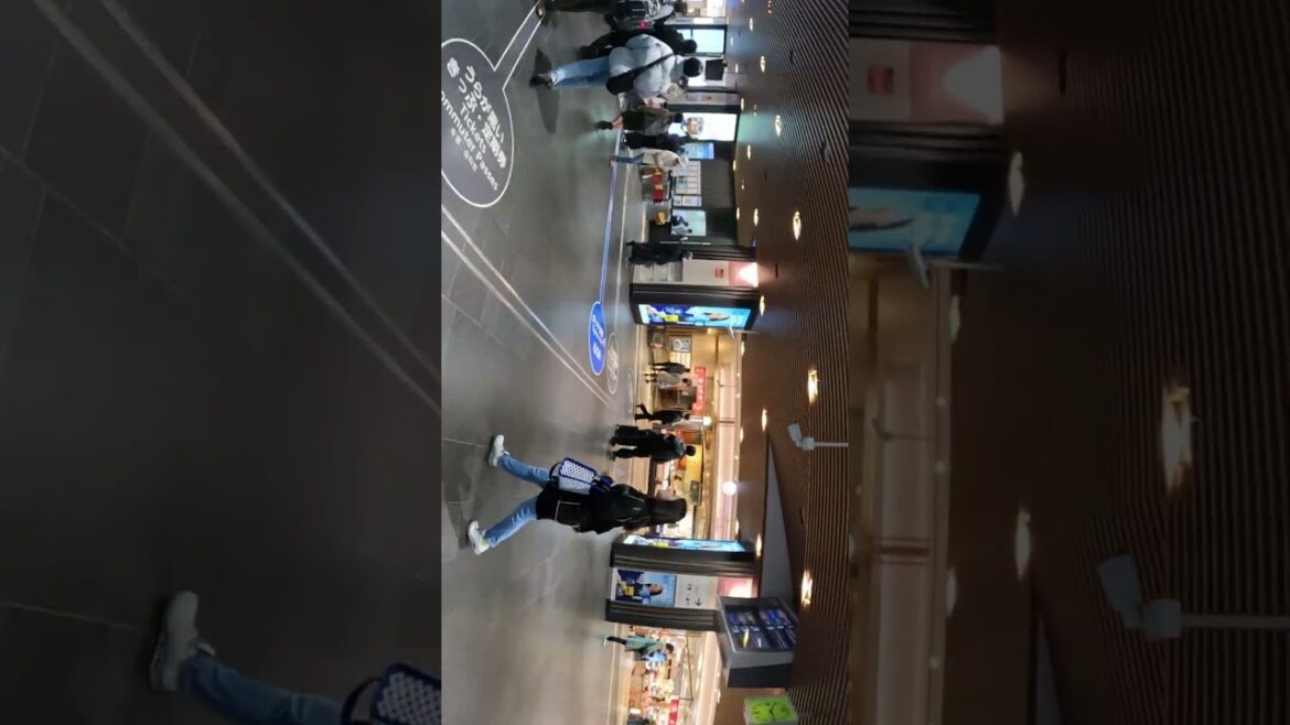 Osaka Train Station #lrt #japan #osakacity #osakaculture #travel