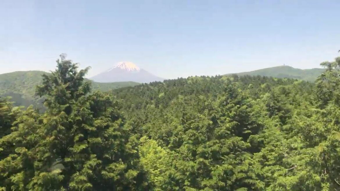 This view of Mount Fuji doesn’t look real 😳 This view of Mount Fuji doesn’t look real 😳
