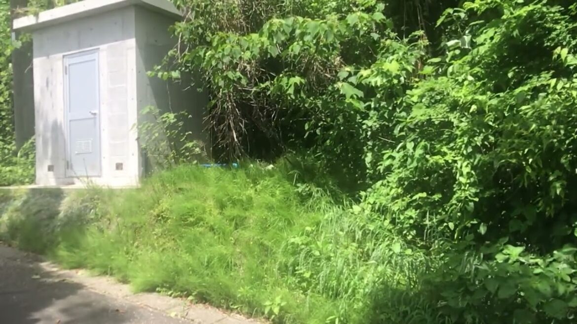 Walking to Dinosaur Park, Sakurajima, Kagoshima, Japan