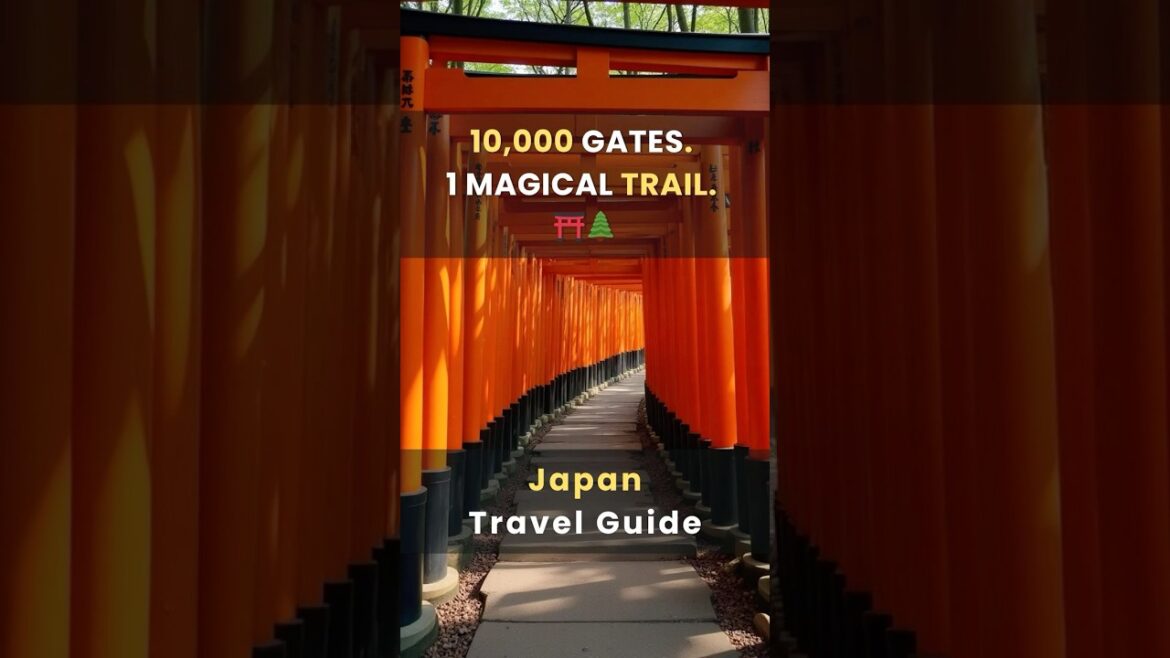 Thousands of Gates - One Magical Path in Japan | Japan Travel Guide