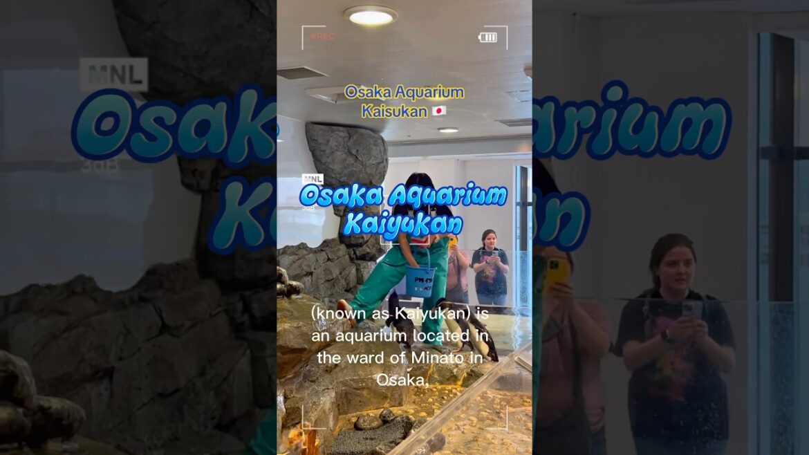 Don't miss to visit the Osaka Aquarium Kaiyukan when you are in Japan #osakaaquarium #kaiyukan