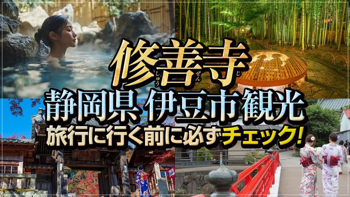 【静岡県 伊豆市 観光 2025年最新版】1日で完全制覇！伊豆市観光モデールコース！失敗しない伊豆市旅行グルメ 修善寺 日枝神社 竹林の小径 独鈷の湯 温泉 izu shizuoka