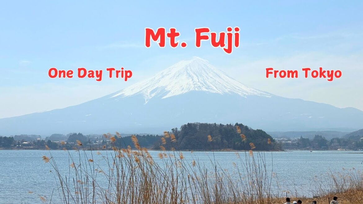 One Day Trip Mt. Fuji | Traditional Village, Oishi Park, Oshino Hakkai, Chuerita Pagoda One Day Trip Mt. Fuji | Traditional Village, Oishi Park, Oshino Hakkai, Chuerita Pagoda