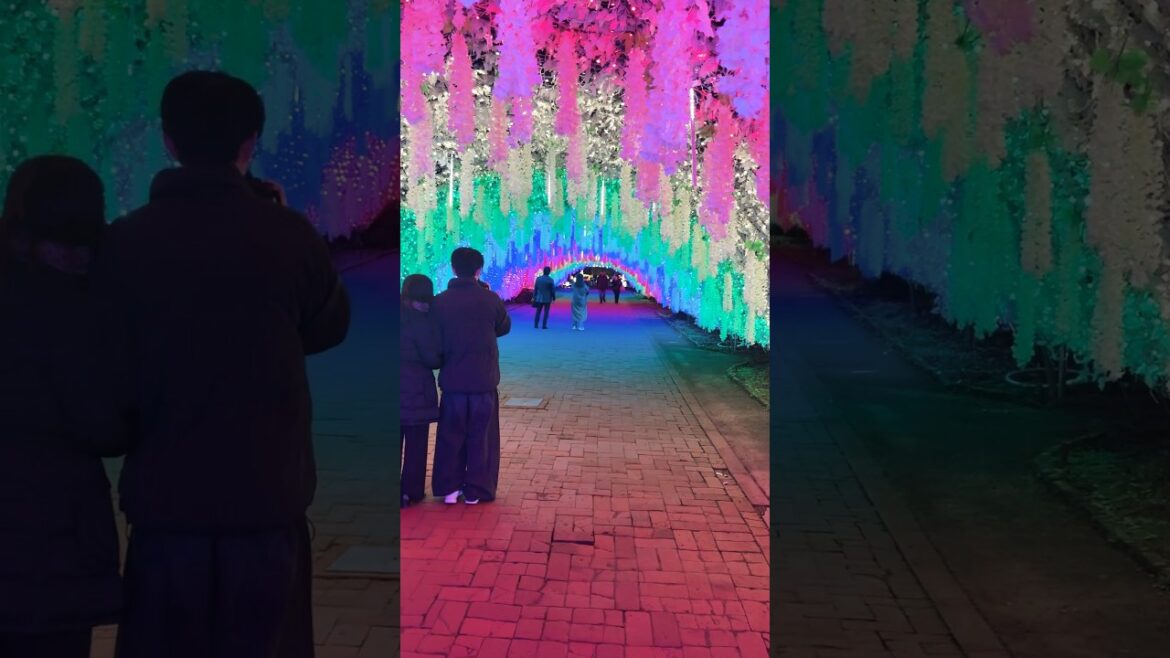 Illumination in Japan |😍 #shorts #japan