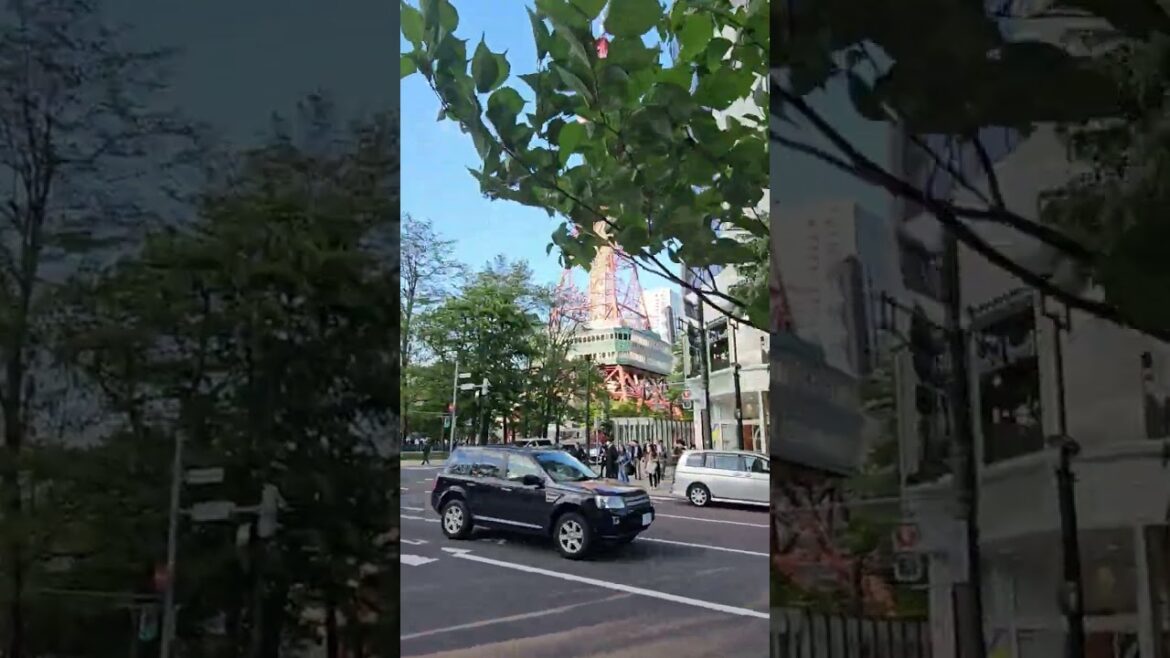 #SAPPORO #JAPAN #ODORI #TOWER #TRAVEL #SHORTS #FAMILY