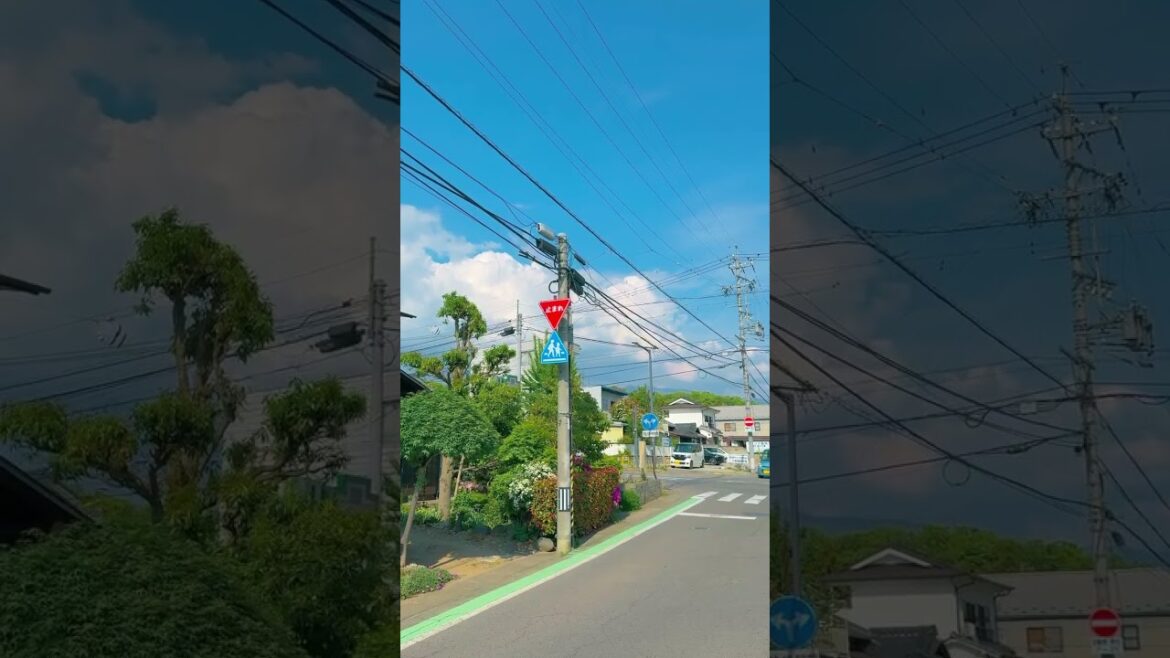 흔한 일본시골마을 하굣길 #nagano #travel