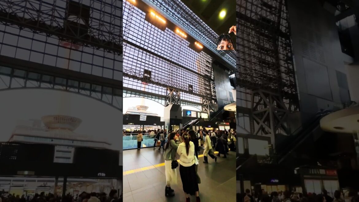 JAPAN TRAIN STATION VS  OTHER COUNTRIES/kyoto #travel #train #railway #jp #insidejapan #jrailpass