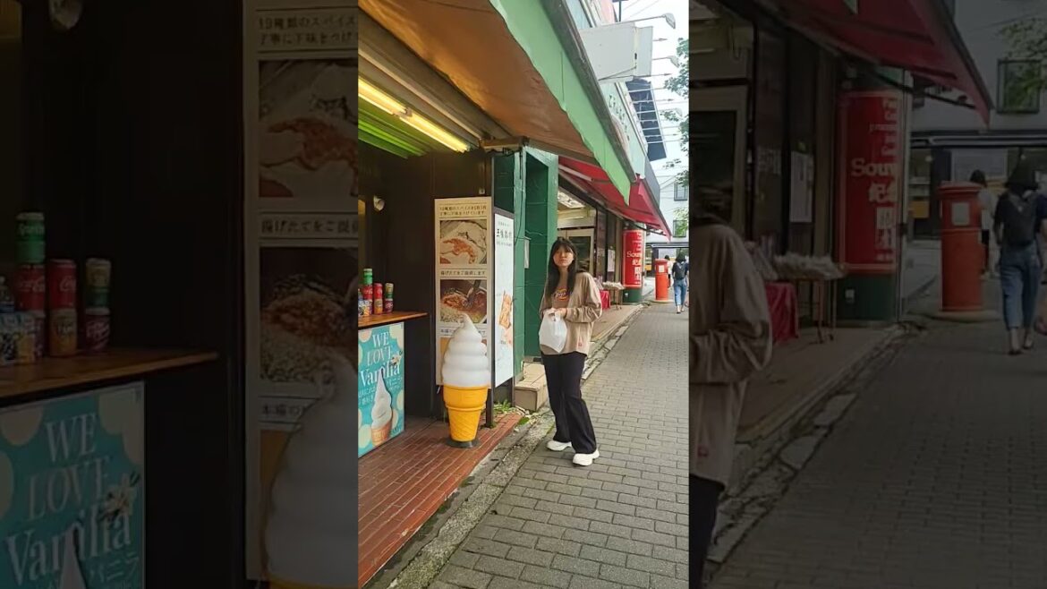 Ginza Street Nagano Prefecture #tourguiding #japantouristguide#japantravelguide#alttravels#tourguide