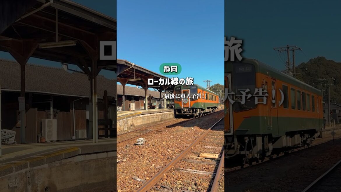 【天浜線】見どころ盛りだくさんの静岡ローカル線 #shorts 【天浜線】見どころ盛りだくさんの静岡ローカル線 #shorts