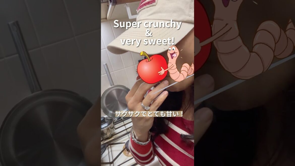 You Must Try this Aomori Apple