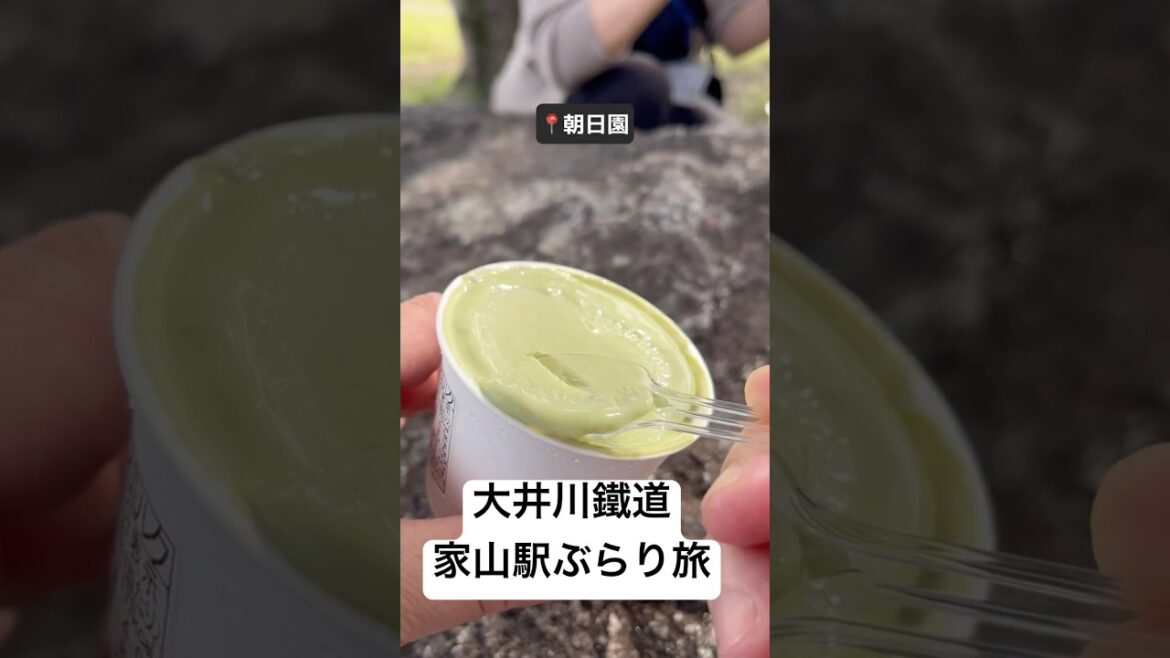 【大井川鐵道】家山ぶらり旅#shorts #大井川鐵道 #家山 #静岡県 #静岡県島田市 #グルメ #観光 #travel #japan