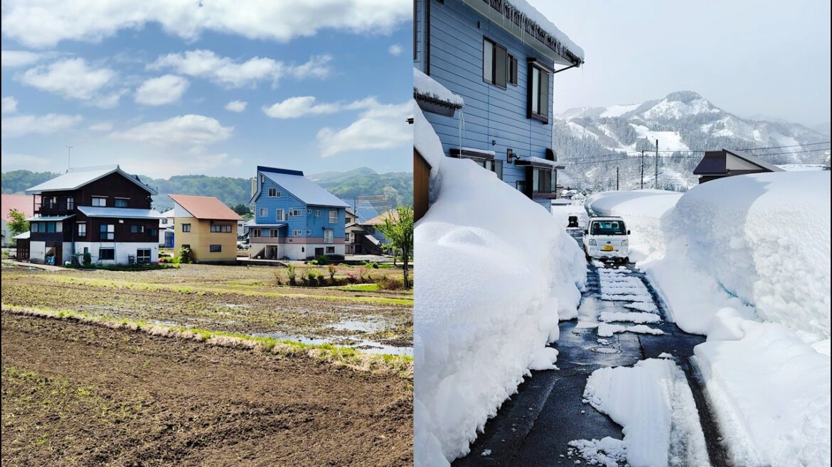Melting Snow Walk in Tsunan-machi, Japanese countryside (Niigata) //4K Melting Snow Walk in Tsunan-machi, Japanese countryside (Niigata) //4K