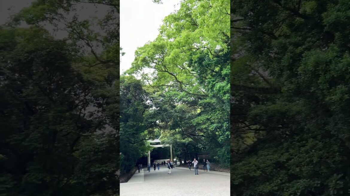 【NAGOYA】Must-See Tourist Attraction - Atsuta Jingu Shrine