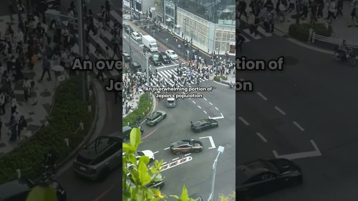 The Unspoken Norm in Japan The Unspoken Norm in Japan