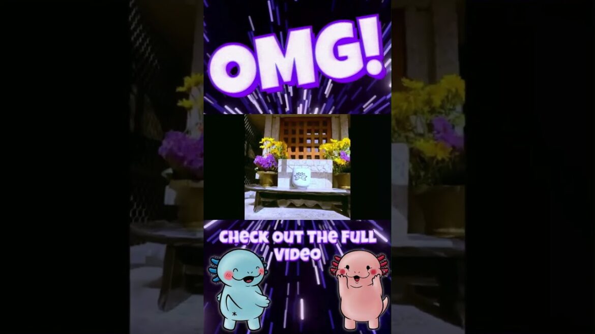 Beautiful Shrine In Kyoto #japanese #kyoto #travel #shrine