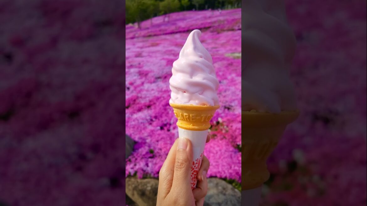 Shibazakura at Takinoue, Hokkaido | Travel in Japan #TravelJapan #Hokkaido #Shibazakura Shibazakura at Takinoue, Hokkaido | Travel in Japan #TravelJapan #Hokkaido #Shibazakura