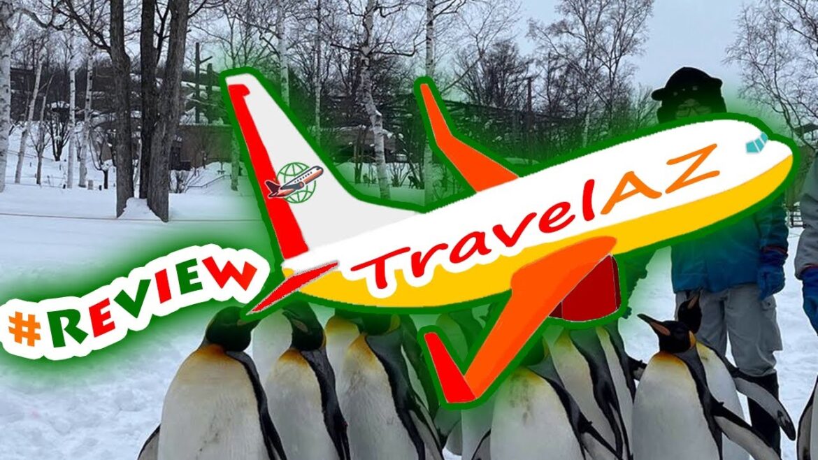 #ReviewActivity #Review Asahiyama Zoo & Biei Blue Pond Day Tour