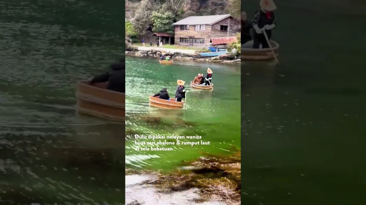 Perahu legendaris yang bentuknya unik banget, cuma ada di Sado Island 🛶✨ #TravelJapan #TaraiBune