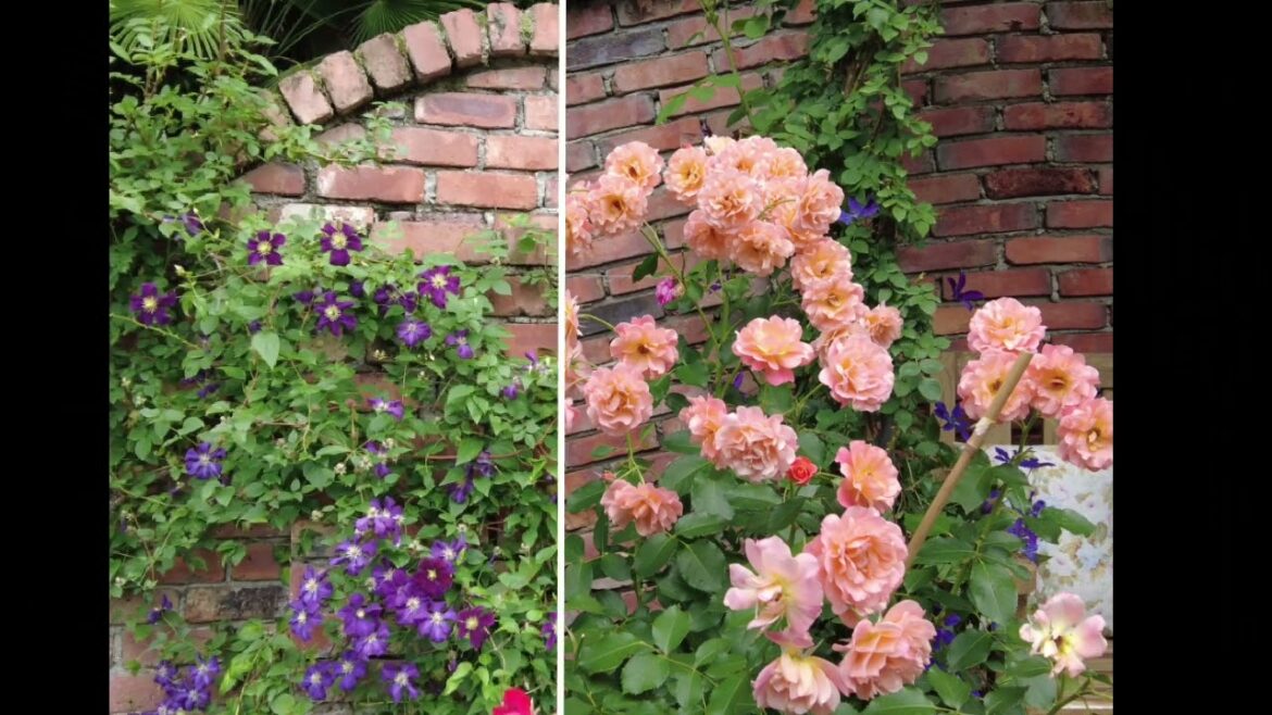 豊田市にある『ガーデニングミュージアム花遊庭』