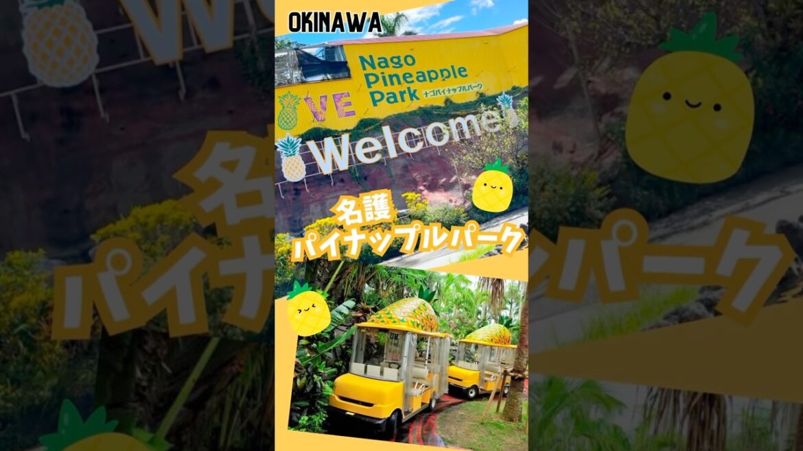 名護パイナップルパーク🍍パイナップルだらけ🎡 #沖縄 #名護パイナップルパーク #旅行 #観光 #沖縄旅行 #グルメ #travel #trip #okinawa #japan #shorts