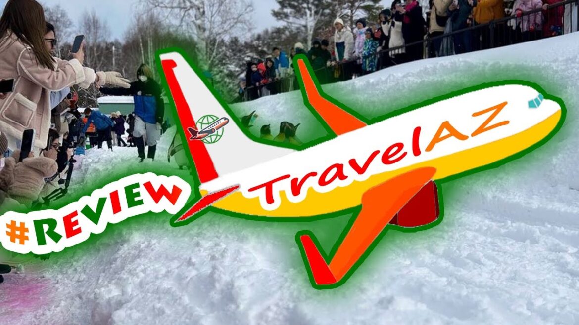 #ReviewActivity #Review Hokkaido Asahiyama Zoo& Forest Fairy Terrace& Shikisai Hill Day Tour