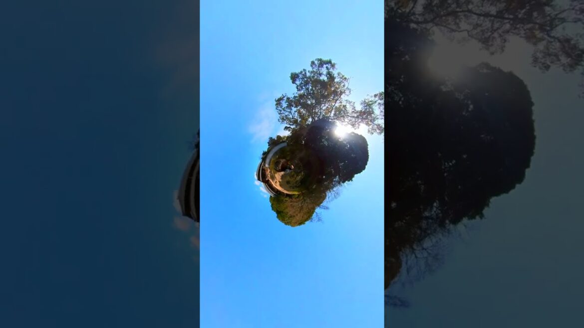 長府毛利邸 庭園 #山口県 #下関市 #japan #insta360 長府毛利邸 庭園 #山口県 #下関市 #japan #insta360