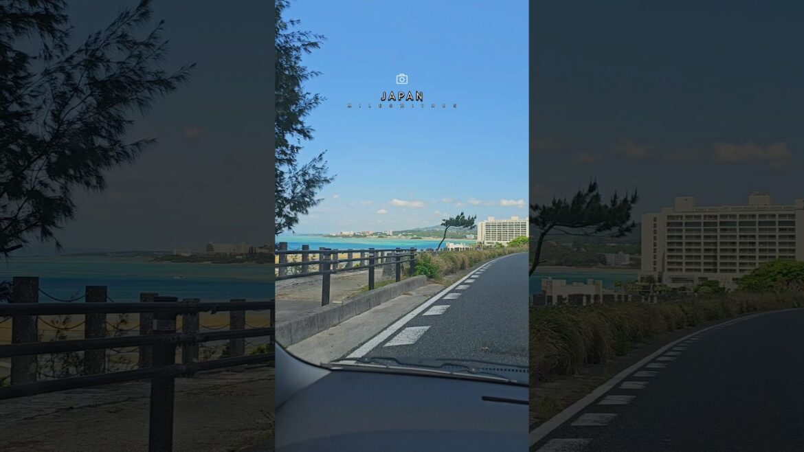 This Okinawa Road Feels Like a Dream 🌅 | Japan Road Trip
