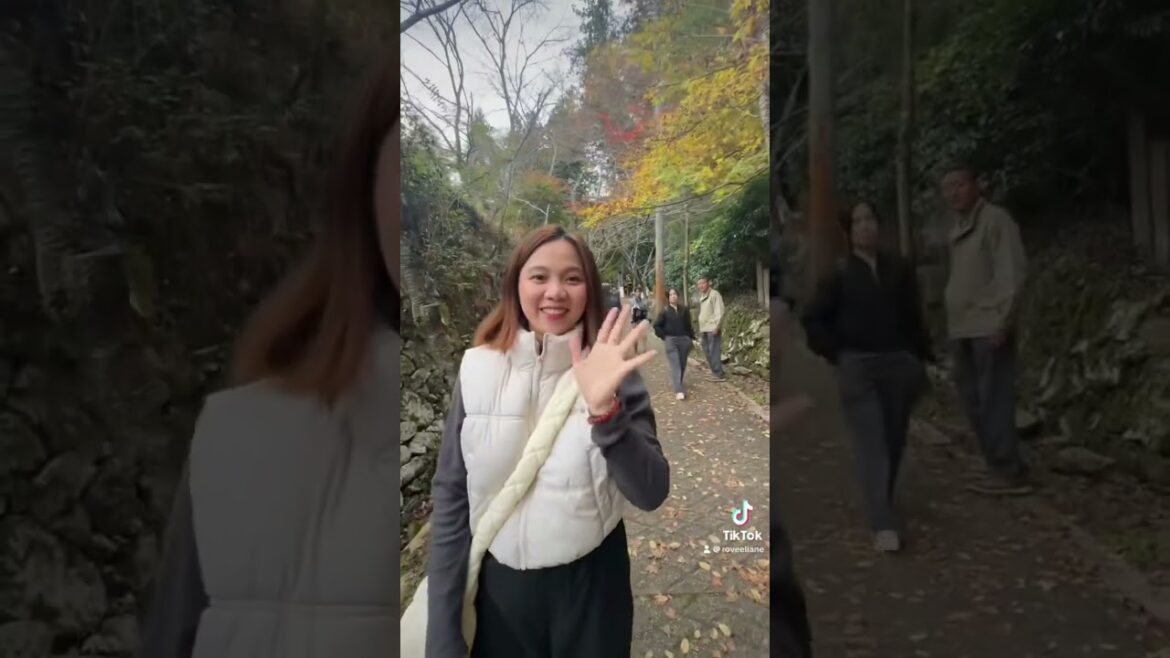 A day in Hiroshima #hiroshima #hiroshimajapan #travel #japan #hiroshimapeacememorialpark #foryou