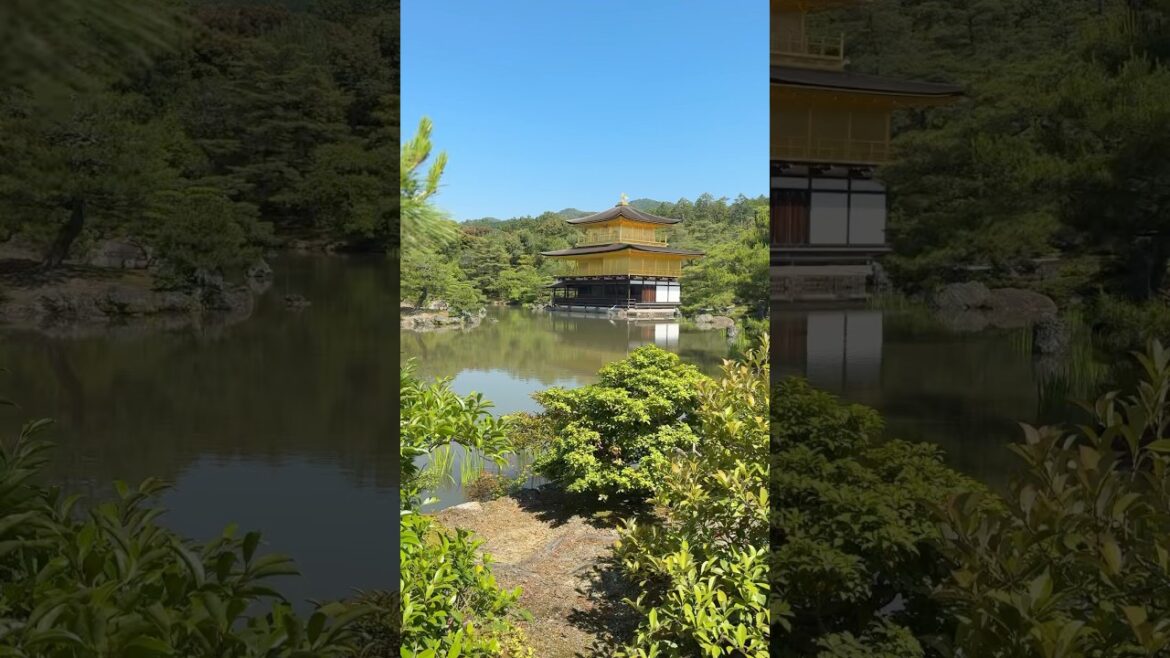 #japan #japantravel #kyoto #travel #adventure #kinkakuji #goldenpavilion