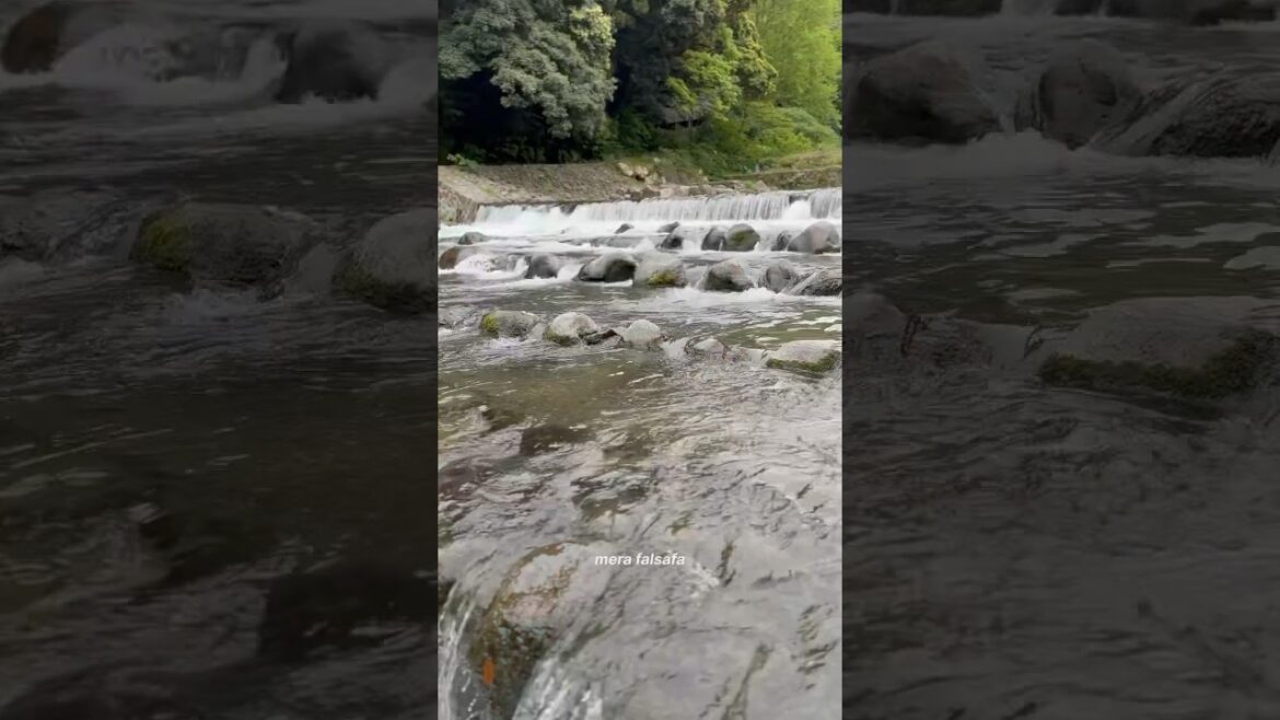 Hakone wanderlust: A dreamy escape into nature 🌿☁️💫