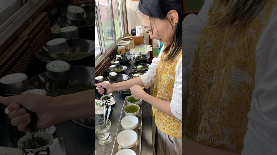 【静岡茶町飲み比べツアー】お茶をはかりに乗せて、お湯を入れて、くんくんしてみた①海野兼太郎商店