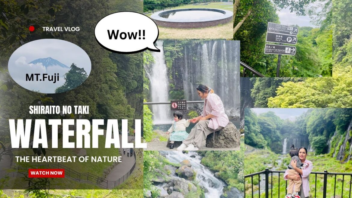 #travel #family #shizuoka #shiraitofalls#mtfuji #travel #family #shizuoka #shiraitofalls#mtfuji