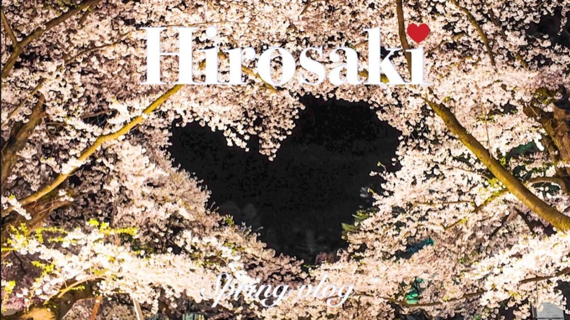 🌸🍎Hirosaki, Aomori vlog/sakura/cherry blossom festival/spring/Japan travel/apple/cafe/garden/izakaya