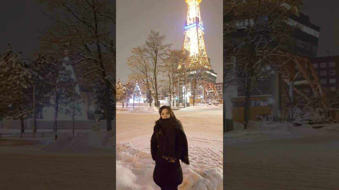 [Sapporo, Hokkaido, Japan] [삿포로, 홋카이도, 일본]