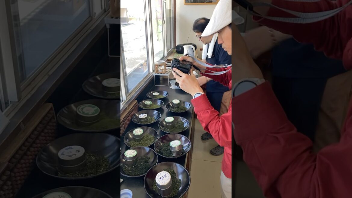 【静岡茶町飲み比べツアー】並んだお茶を撮ってみた 海野兼太郎商店